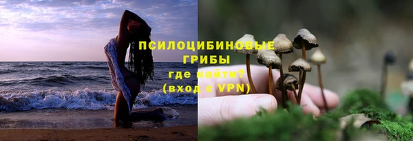 ешки Бронницы