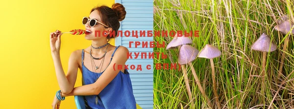 spice Липки