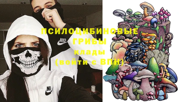 ГАЛЛЮЦИНОГЕННЫЕ ГРИБЫ Лиски