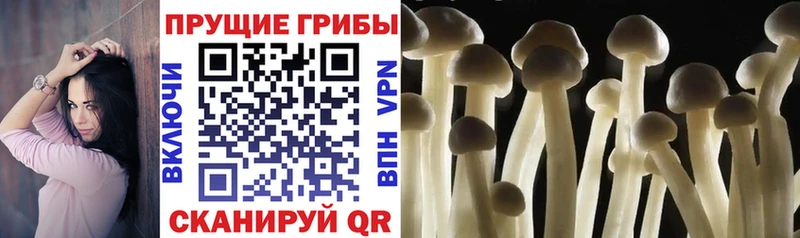 где купить наркоту  Щёлкино  блэк спрут рабочий сайт  Галлюциногенные грибы ЛСД 